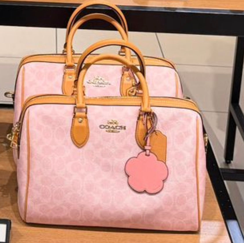 Cartera coach Grande